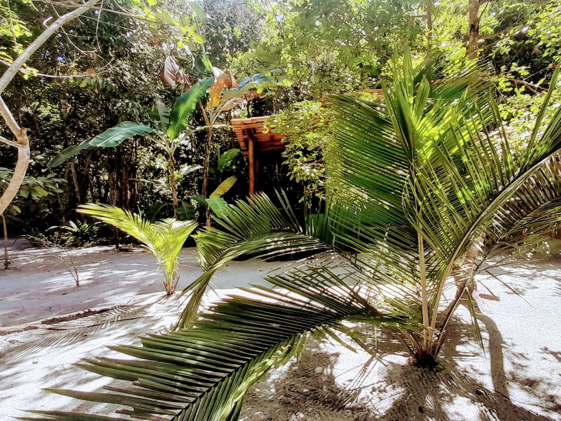 Chales Guigo-Cumuruxatiba, Sossego E Privacidade คูมูรูชัทเชบา ภายนอก รูปภาพ
