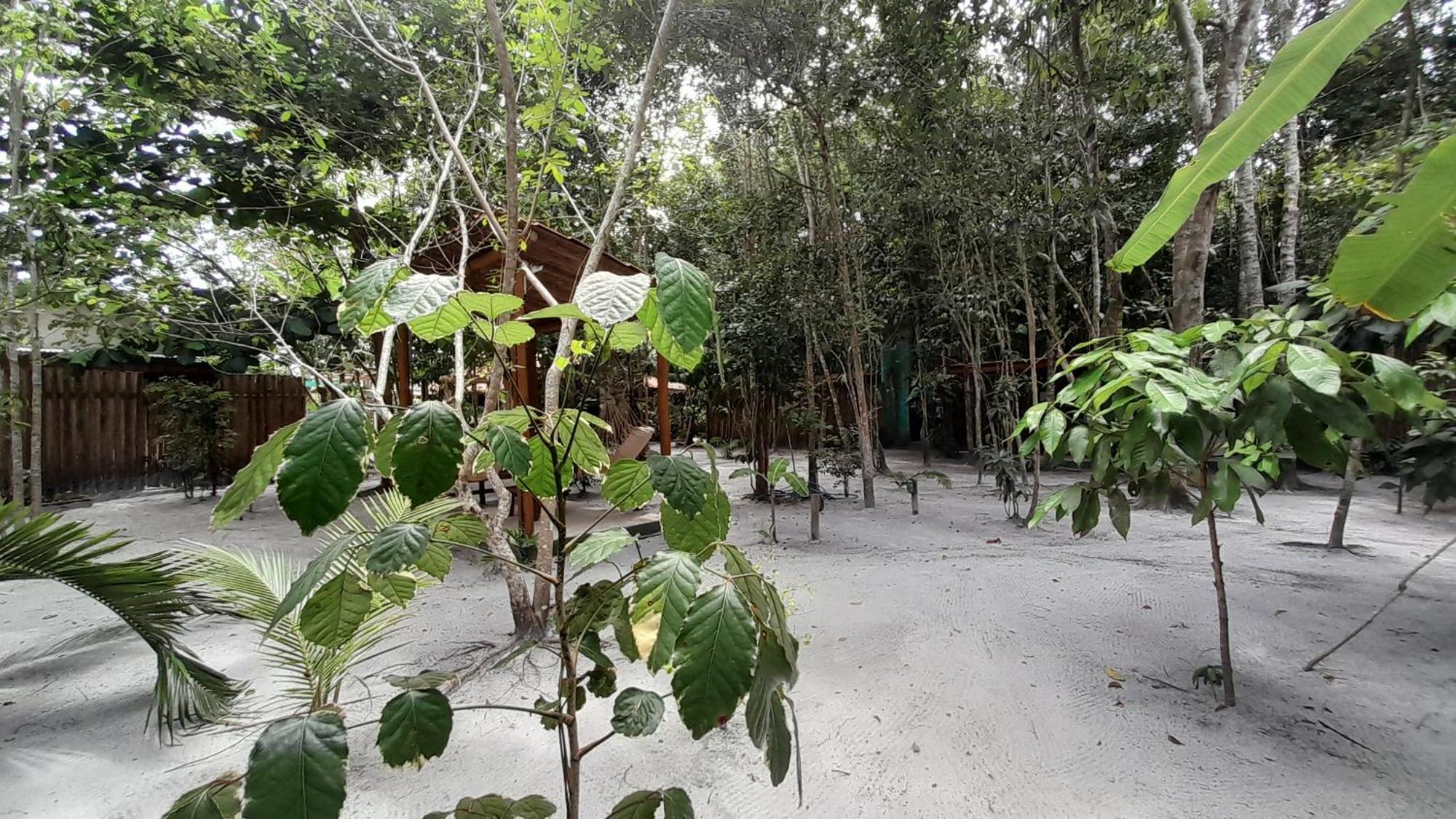 Chales Guigo-Cumuruxatiba, Sossego E Privacidade คูมูรูชัทเชบา ภายนอก รูปภาพ