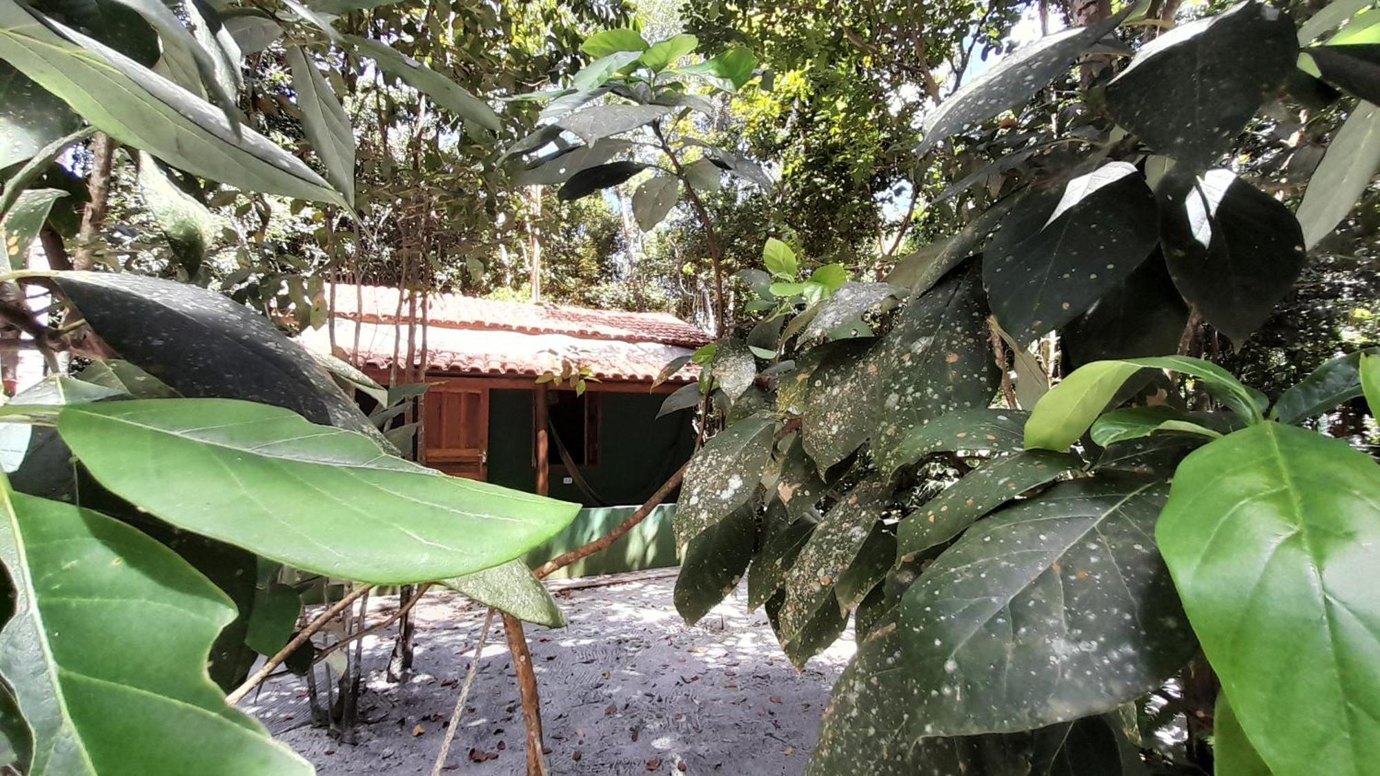 Chales Guigo-Cumuruxatiba, Sossego E Privacidade คูมูรูชัทเชบา ภายนอก รูปภาพ